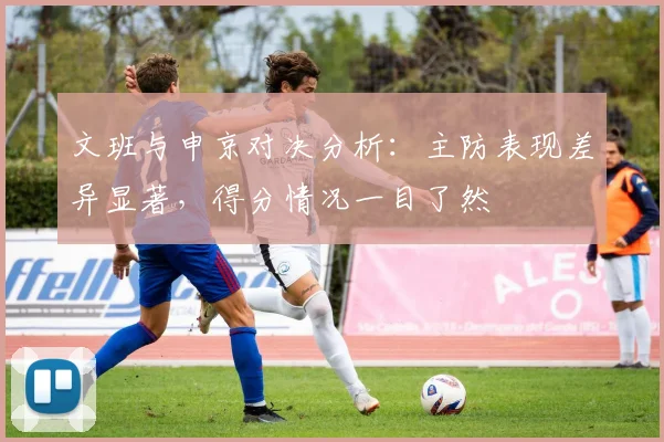 文班与申京对决分析：主防表现差异显著，得分情况一目了然